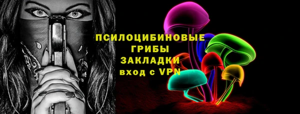 прущий лед Алзамай