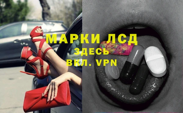 прущий лед Алзамай