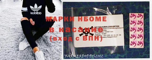 прущий лед Алзамай