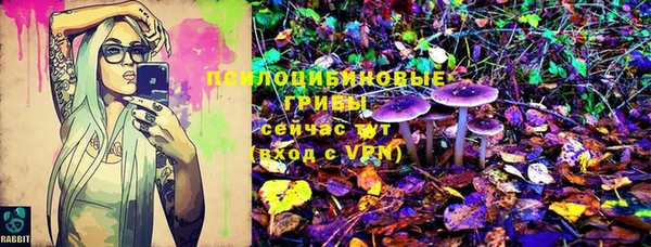 прущий лед Алзамай