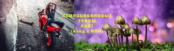 амф Абинск