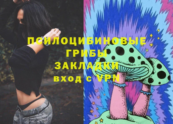 винт Алексеевка