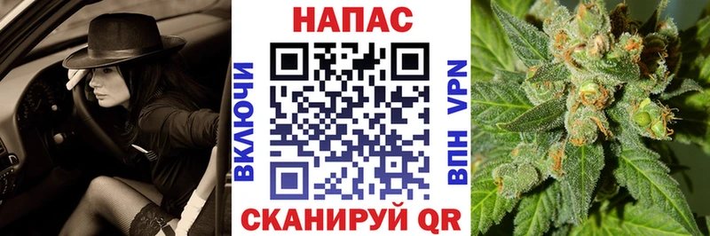 где купить наркоту  нарко площадка какой сайт  кракен маркетплейс  Марихуана конопля  Донской 